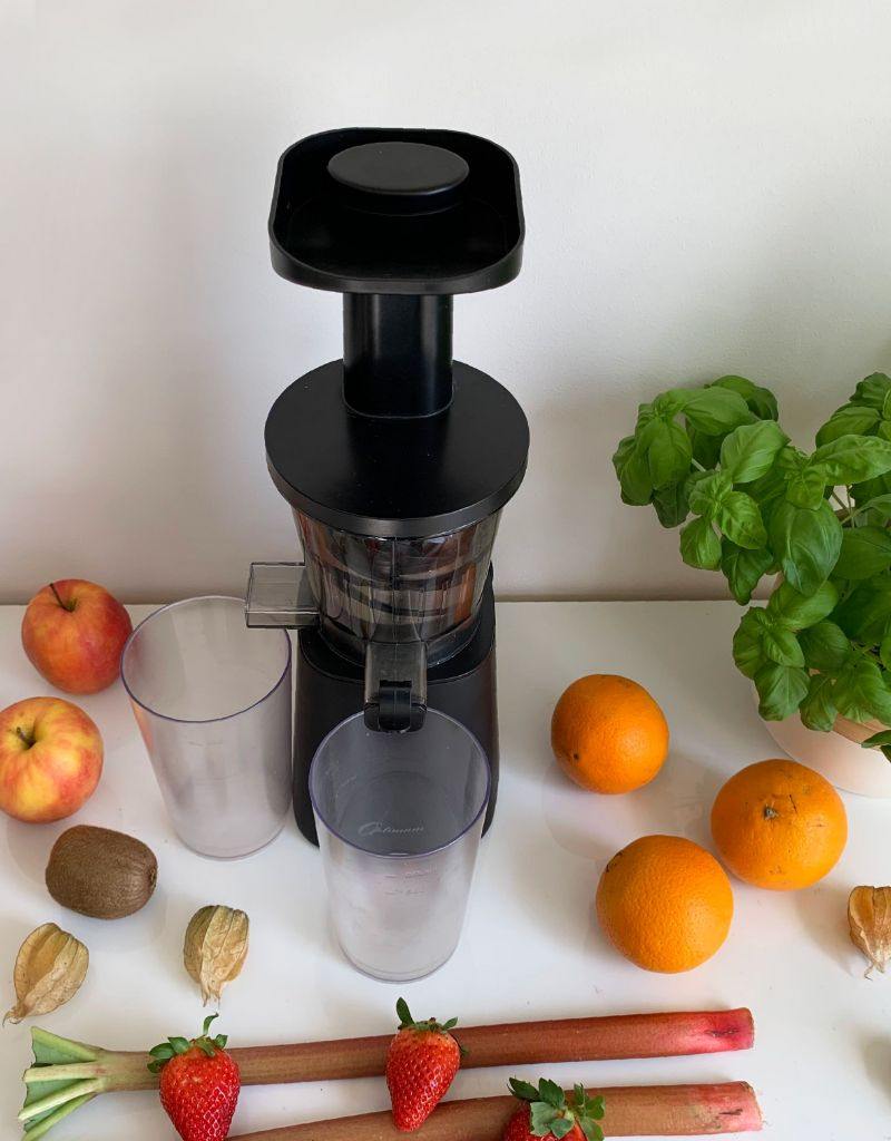 Optimum 600M Best Value Compact Slow Juicer Froothie UK