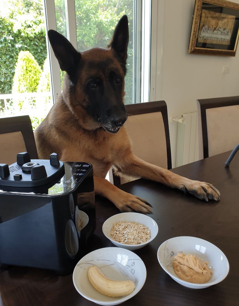 #optimumg2.6 #mostpowerfulblender #digitalblender  #highspeedblender #besthighspeedblender #cheapesthighspeedblender #vitamixalternative #vitamix #bestsmoothieblender #kitchenaidblender #ninjablender #blendtecalternative #blendtec #domesticblender 